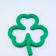 PXL_20240317_125931776~3.jpg Twisty Shamrock