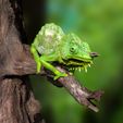 TQuadricornisPosterSzene0005.jpg Southern four-horned chameleon Triocerus quadricornis file with full-size texture STL 3D print high polygon - modeled in Zbrush with tree/branch