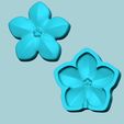 m3-0.jpg Molde de flor Forget-me-Not - Molde artificial em EVA