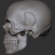mghjghj.jpg Skull head for action figures