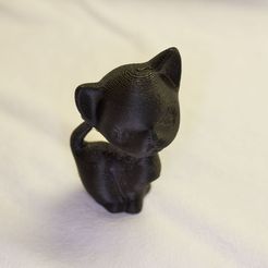 IMG_4997_display_large_display_large.jpg Kitten