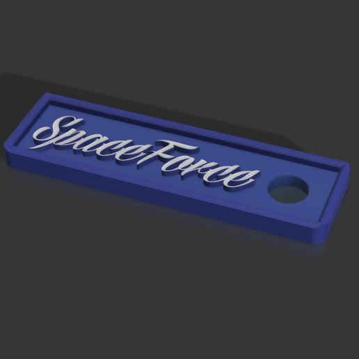 US Space Force Keychain 3D model