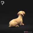 Dachshund-Wire-Haired-Pose-08-Dog-3D-Print-4s.jpeg Dachshund Wire Haired Pose 08