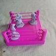 20240328_171201.jpg Wrestling Ring