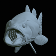 Bass-mount-statue-46.png fish Largemouth Bass / Micropterus salmoides open mouth statue detailed texture for 3d printing