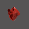 17.png HEART SEGMENTAION WITH CUT SECTIONS
