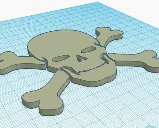 Skull