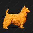 671-Australian_Terrier_Pose_03.jpg Australian Terrier Dog 3D Print Model Pose 03