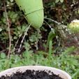 Foto-Crop5.jpg Sprout, smart self watering device.