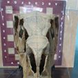 Indoraptor-skull-model-3d-print-28.jpg Indoraptor skull 3d print 30cm
