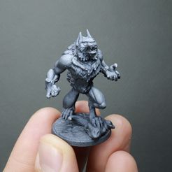 IMG_2022.jpg STL file Furious Werewolf (2 variants)・3D printer model to download