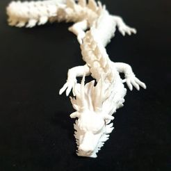 WhatsApp-Image-2023-06-04-at-11.06.28-1.jpeg Archivo STL Dragones articulados・Objeto imprimible en 3D para descargar