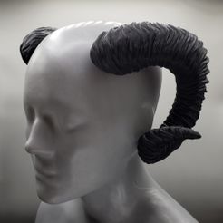 20220803_152216.jpg STL file Large Curled Ram Horns | Cadence・3D print object to download