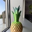 IMG_2923.jpeg Golden Luxurious Pineapple