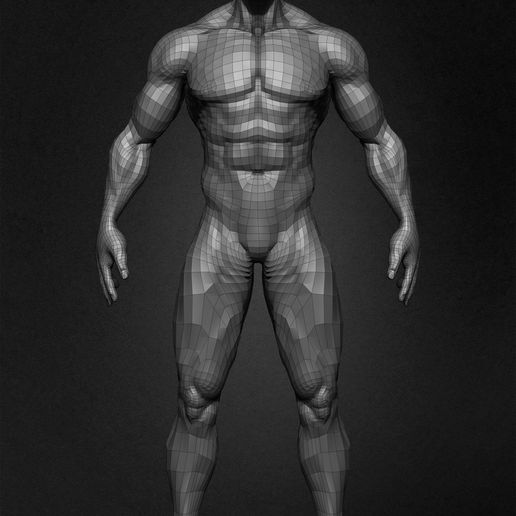 💪 Muscular Basemesh Human Anatomy・ OBJ File for 3D printing・Cults