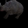 6.jpg Rhino Walk ANIMATED