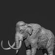 Manmoth_elephant05.jpg Mammoth Elephant