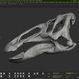 rev_01_0008_Layer-1.jpg Edmontosaurus skull - Dinosaur