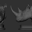 09.png Rhinoceros