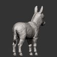 Donkey-baby10.jpg Modelo de impresión 3D de bebé burro