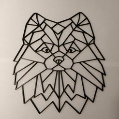 IMG_20220428_112416.jpg Pomeranian dog in geometric shape for decoration