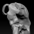 14.jpg Mythosaur Skull Pendant - Mandalorian Symbol Ready for 3d print 3D print model