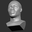 23.jpg Archivo STL Busto de Omar Sy para la impresión 3D・Plan imprimible en 3D para descargar, PrintedReality