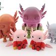 il_fullxfull.5749275043_paq4.jpg Articulated Lunar New Year Axolotl by Cobotech, Articulated Axolotl , Fidget Toy, Home/Desk Decoration, Unique Gift