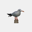 model-2.png Mouette