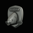 common-carp-17.png head trophy COMMON CARP (CYPRINUS CARPIO)open mouth statue 2 detailed texture for 3d printing