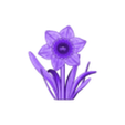 Daffodil1.stl daffodil