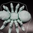 Niedliche Flexi Print-in-Place Spinne