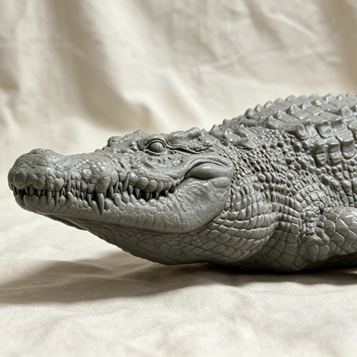 crocodile