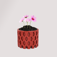 Foto 3.png Flower and nature plant pot for home decoration as a very nice natural decoration