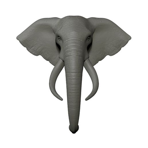 Telecharger Fichier Elephant Head Trophy Support Mural A Tete D Elephant Modele A Imprimer En 3d Cults