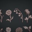 03.jpg Birth Month Flowers Set Bas Relief 3D Model
