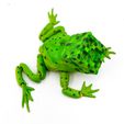 flexi-creeper-toad-3D-MODEL-6.jpg MINECRAFT Flexi Creeper Toad Frog articulated print-in-place no supports
