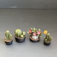 IMG_5428.jpg Miniature Plants for Dollhouse miniature greenery