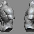 05.jpg Torso reference