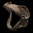 6.png Megalodon Shark Jaw