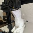 IMG_6534.jpg STL-Datei Perro Shiba Inu・Modell für 3D-Drucker zum Herunterladen