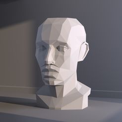 01.jpg Low polygon plane of head 3D print model