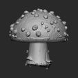 mushroom2.jpg cogumelo