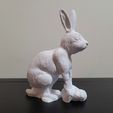 20230129_230134.jpg Rabbit of the year standing updated ver2!