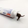 dogtoothpaste1.jpg Dog pooping toothpaste topper