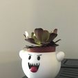 Mario Boo