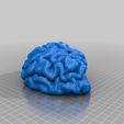 SplitBrain_Left.png Human Brain - Converted MRI Scan of Real Human Brain