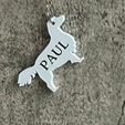 83-springer-spaniel-keyring-paul-1.jpg Springer spaniel keyring stl file