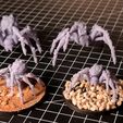 20220120_230429.jpg Spiders - 2 poses & 2 sizes