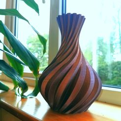 Vase.jpg Spiral Vase